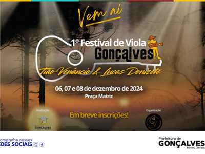 1&#186; FESTIVAL DE VIOLA